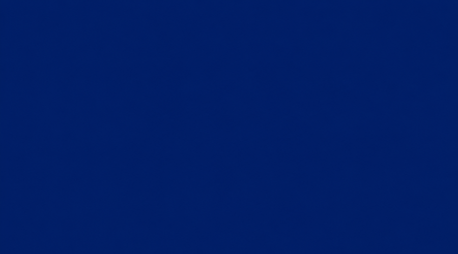 codex-bacbf71d66494c9a893d0a1381ad01ef