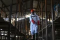 ‘Danger to the region’: EU and UNICEF send 100 tonnes of aid to DR Congo amid Ebola outbreak