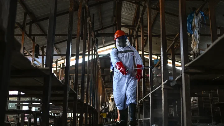 ‘Danger to the region’: EU and UNICEF send 100 tonnes of aid to DR Congo amid Ebola outbreak