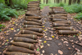 Found on walk: 1.5 tonnes of Soviet ammunition discovered in Berlin forest