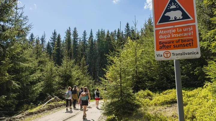 Forget the Camino de Santiago. Romania’s Via Transilvanica hiking trail is wild, welcoming and quiet