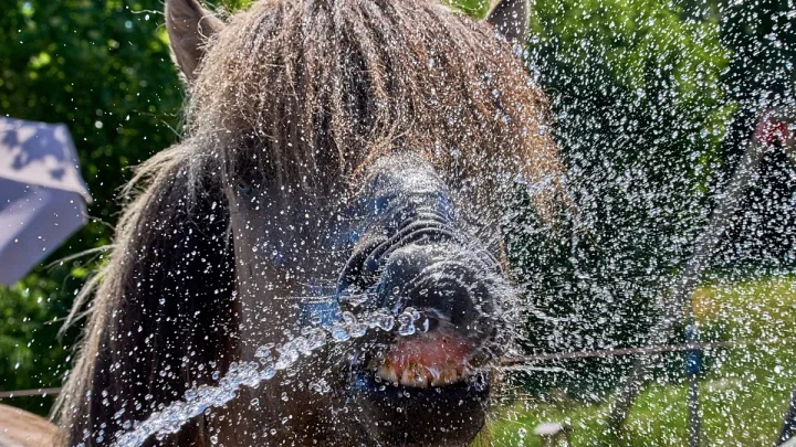 Germany breaks heat record again