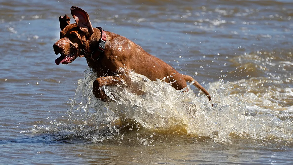 1200x675_cmsv2_25f528fe-373a-59d4-aa12-1fb73162a009-9813731