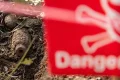 At least 58 states and territories contaminated by landmines, UN human rights chief says