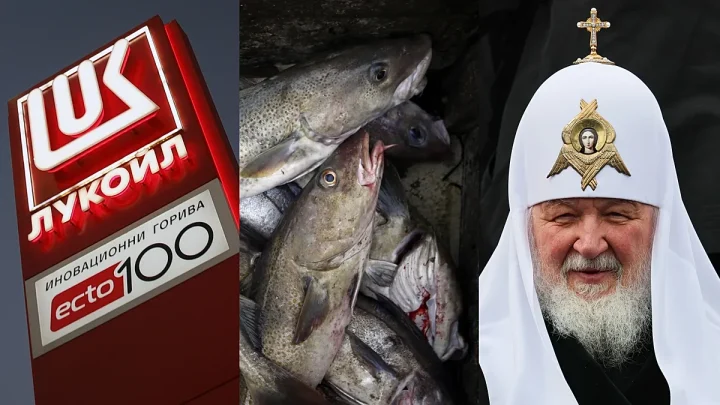 Oil, cod, Kirill: friction points emerge in new EU sanctions against Russia