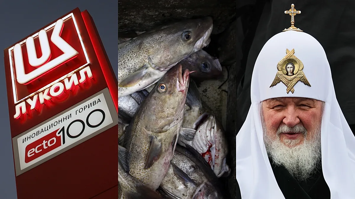 Oil, cod, Kirill: friction points emerge in new EU sanctions against Russia