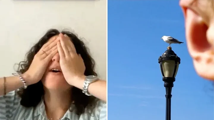 Icelandair has found the ‘world’s worst photographer’ – and is paying her $50,000