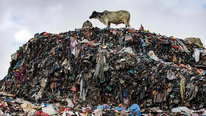 EU investigators seize 4,200 tonnes of textile waste illegally shipped to Turkey from Italy