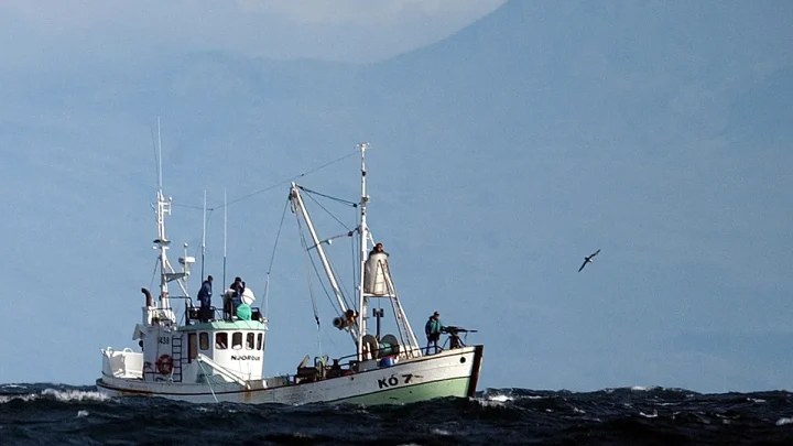 Iceland kills first whales since 2023, resuming whaling