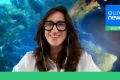 ‘It belongs to all of us’: How the High Seas Treaty is shaping global waters