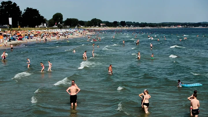 Flesh-rotting bacteria: What is Vibrio and should you be worried?