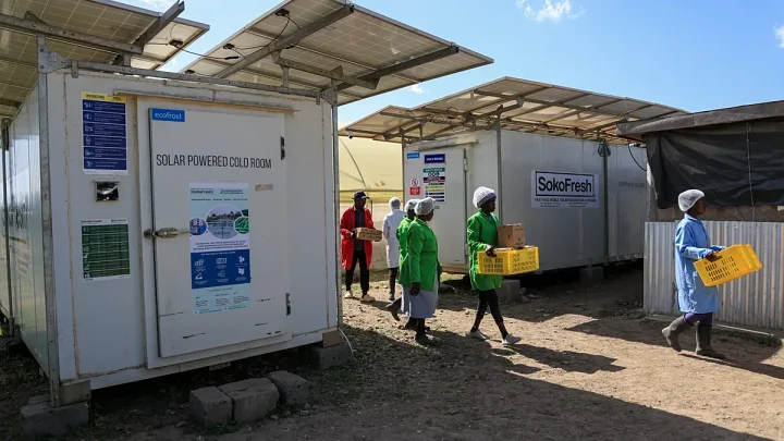 Solar-powered fridges are boosting farmers’ incomes by 50% while cutting food waste