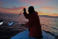 ‘I’ll have to buy new nets’: Killer pufferfish are devastating Crete’s fishing industry
