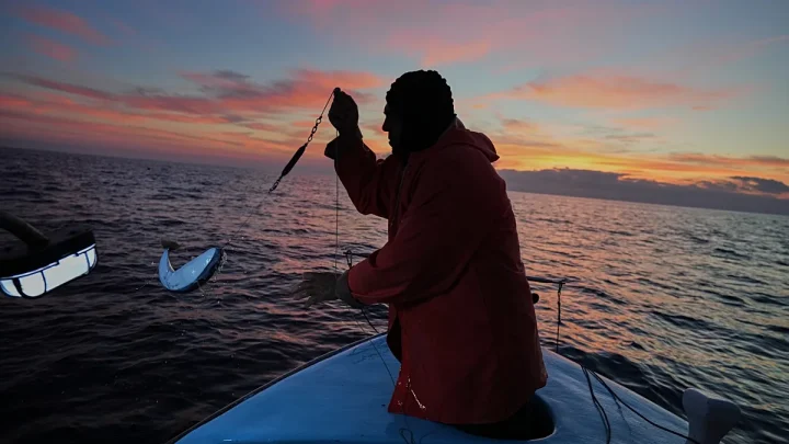‘I’ll have to buy new nets’: Killer pufferfish are devastating Crete’s fishing industry