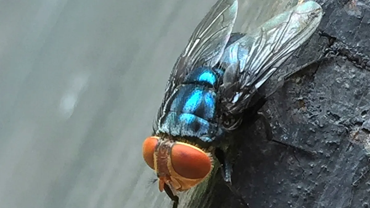 1200x675_cmsv2_c72e7e45-10f0-53ad-811d-5533d2882099-9790925