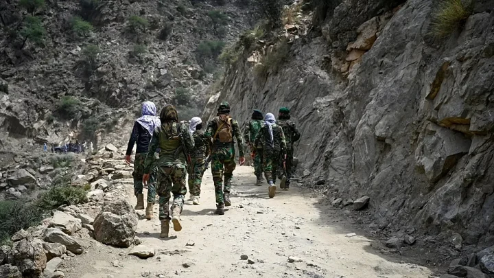 No option but to talk to Taliban about migrant returns, EU’s migration commissoner says