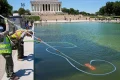Video. Washington’s Lincoln Memorial pool turns green days after renovation