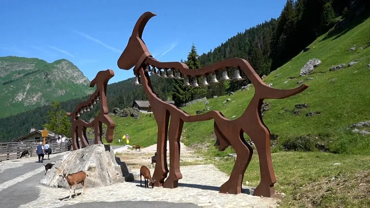 Video. Goats roam free in this French Alpine village