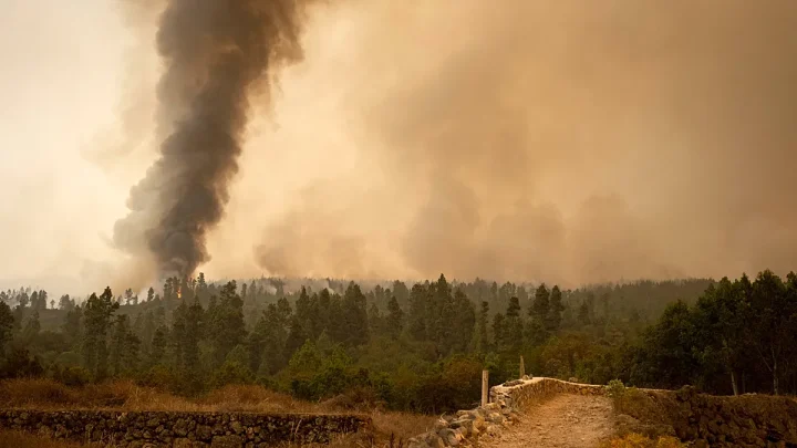Forest fire figures in Spain in 2026