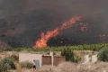 Majority of 12 victims of Spain wildfires believed to be foreigners, officials say
