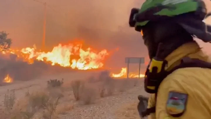 Survival guide: Key advice for what to do if you find yourself caught by a wildfire
