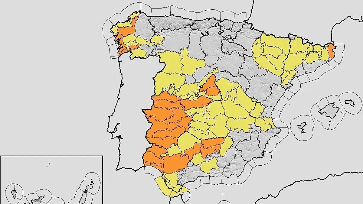 1200x675_cmsv2_74a915f8-24b0-5404-9dcb-884f87e1b35f-9825102