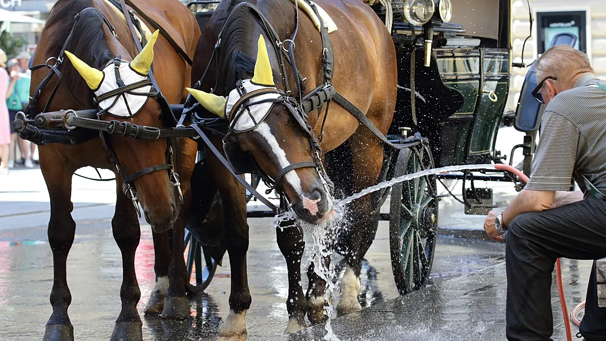 1200x675_cmsv2_75e3ce28-c93e-526a-a6c9-4b862e849a7d-9832199