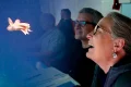 Arctic seabed mission documents fragile marine life threatened by Norway’s deep-sea mining plans