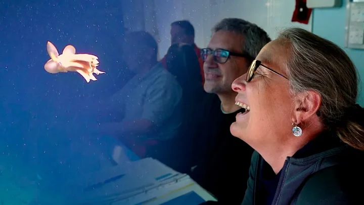Arctic seabed mission documents fragile marine life threatened by Norway’s deep-sea mining plans