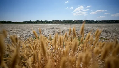 1200x675_cmsv2_a2b3f7e9-d429-5067-8fcf-2253244d32c5-9847081