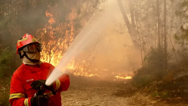 Heat in Portugal: fires have already mobilised over 1,000 firefighters