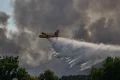 Fontainebleau fire still burning as 850 firefighters tackle blaze