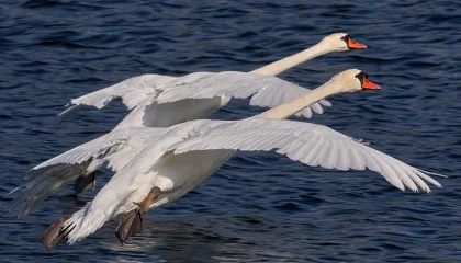 1200x675_cmsv2_ee948d91-c4af-5d64-a62f-057de5d291ab-9845652
