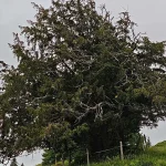 1200x675_cmsv2_a2d90ccf-86ee-5a3d-a9e1-92172236ce26-9862679